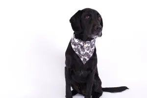 Mog and Bone Black Tropical Leaves Bandana