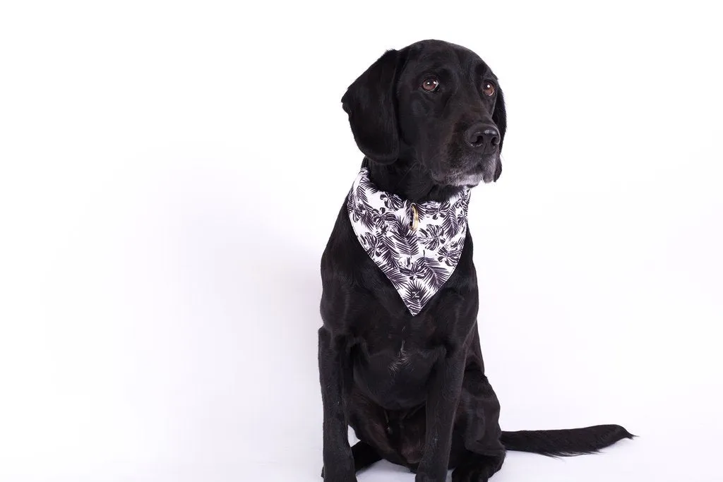 Mog and Bone Black Tropical Leaves Bandana
